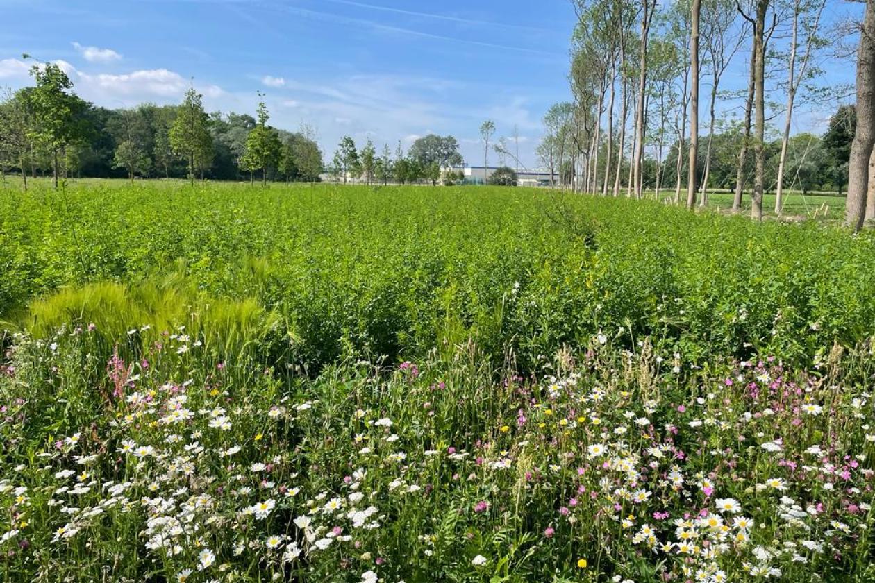 Stichting in de maak die zich ontfermt over leefbaarheid kernen rond VDL Nedcar 